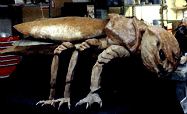  Freakylinks (Optic Nerve) 