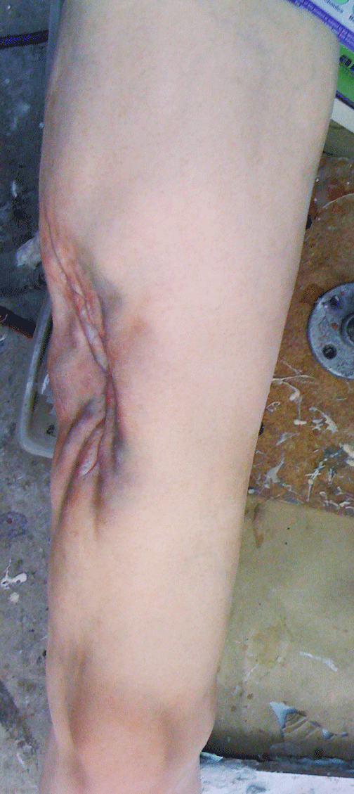  House (WM Creations) 