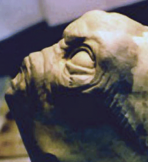  Galaxy's Wackiest Videos (Optic Nerve) 