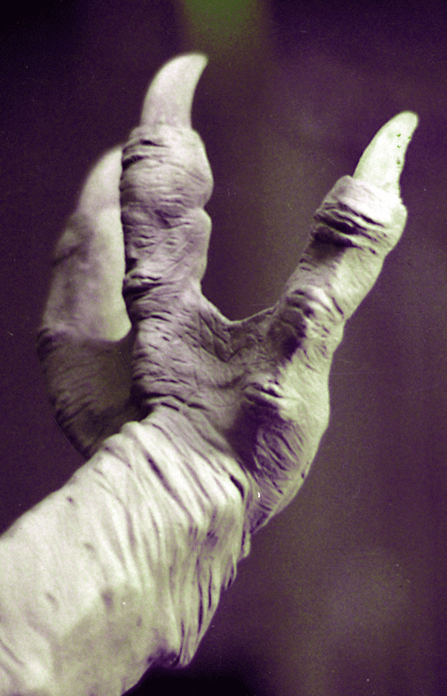  Freakylinks (Optic Nerve) 